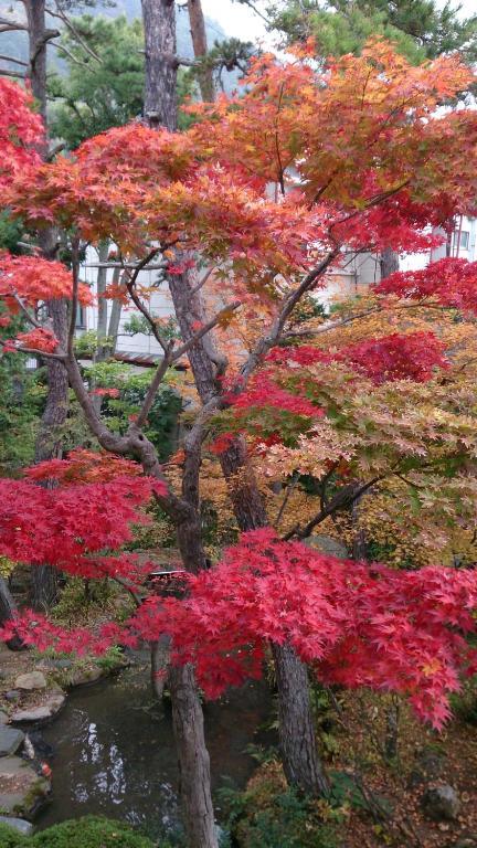 Yudanaka Yumoto Hotel Jamanoucsi Kültér fotó